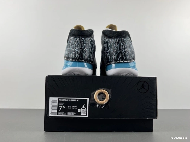 23 UNC Jordan 318376-041 0802